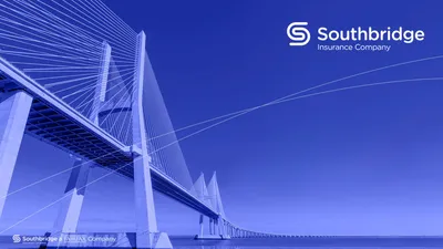 Southbridge Insurance Company | Levantamiento de insights en la relación con la categoría